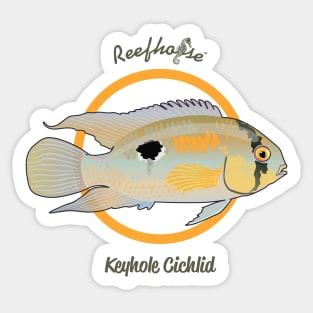 Keyhole Cichlid Sticker